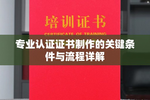 娄星专业认证证书制作的关键条件与流程详解