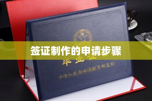 娄星签证制作的申请步骤