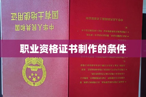 娄星职业资格证书制作的条件