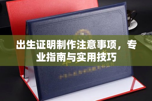 娄星出生证明制作注意事项，专业指南与实用技巧