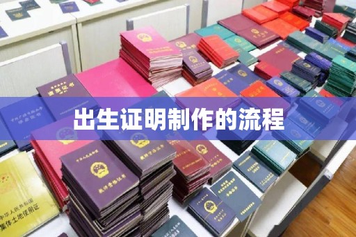 娄星出生证明制作的流程