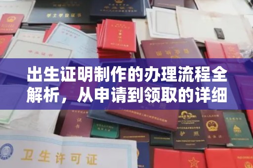 娄星出生证明制作的办理流程全解析，从申请到领取的详细指南