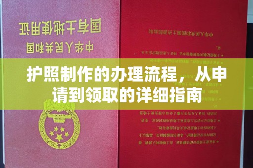 娄星护照制作的办理流程，从申请到领取的详细指南