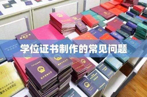 娄星学位证书制作的常见问题