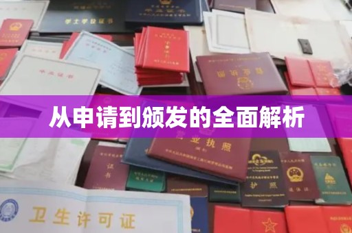 娄星从申请到颁发的全面解析