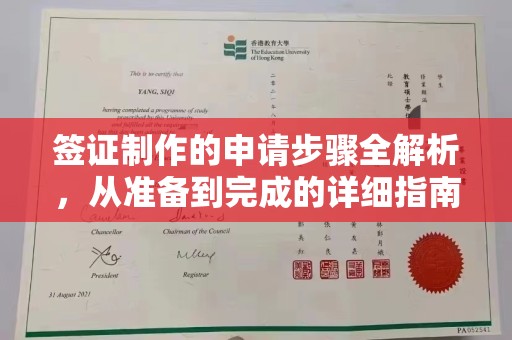 娄星签证制作的申请步骤全解析，从准备到完成的详细指南