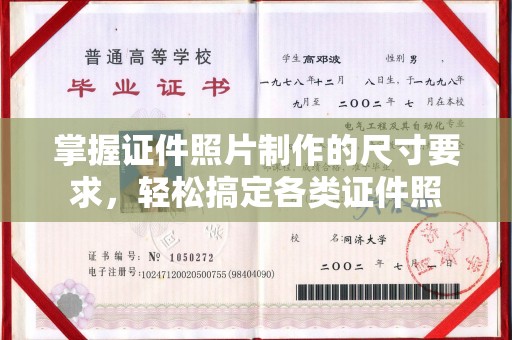 娄星掌握证件照片制作的尺寸要求，轻松搞定各类证件照