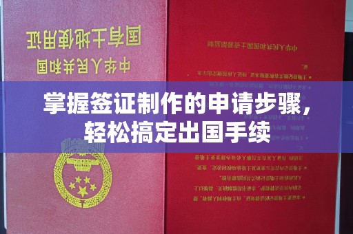 娄星掌握签证制作的申请步骤，轻松搞定出国手续