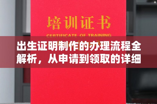 娄星出生证明制作的办理流程全解析，从申请到领取的详细指南
