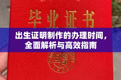 娄星出生证明制作的办理时间，全面解析与高效指南