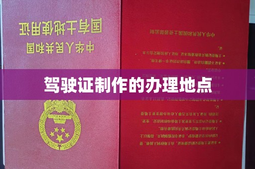 娄星驾驶证制作的办理地点