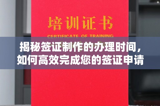 娄星揭秘签证制作的办理时间，如何高效完成您的签证申请