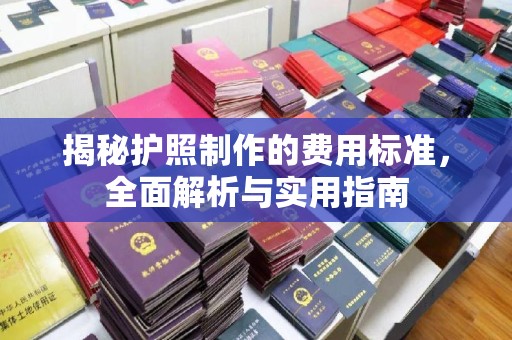 娄星揭秘护照制作的费用标准，全面解析与实用指南