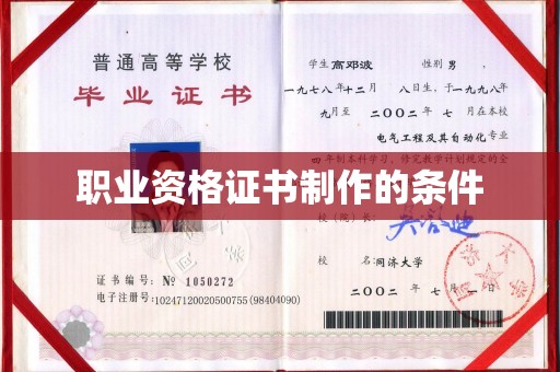 娄星职业资格证书制作的条件