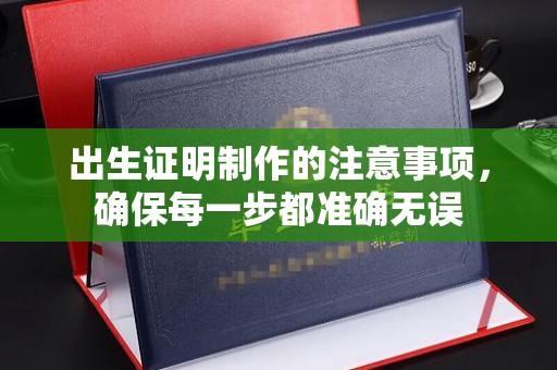 娄星出生证明制作的注意事项，确保每一步都准确无误