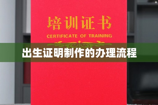 娄星出生证明制作的办理流程