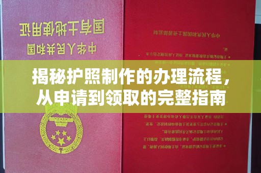 娄星揭秘护照制作的办理流程，从申请到领取的完整指南