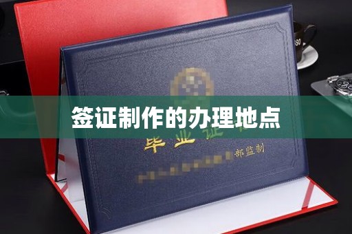 娄星签证制作的办理地点