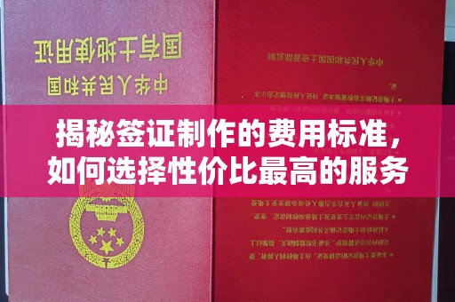 娄星揭秘签证制作的费用标准，如何选择性价比最高的服务？