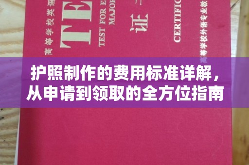娄星护照制作的费用标准详解，从申请到领取的全方位指南