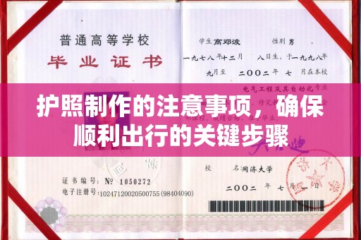 娄星护照制作的注意事项，确保顺利出行的关键步骤