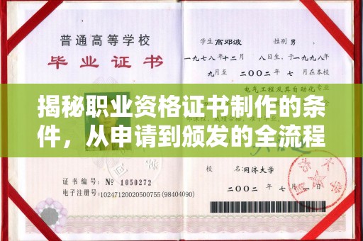 娄星揭秘职业资格证书制作的条件，从申请到颁发的全流程解析