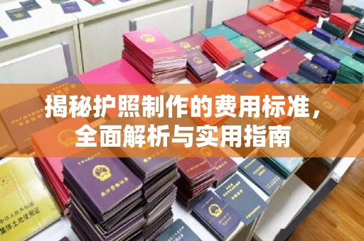 娄星揭秘护照制作的费用标准，全面解析与实用指南