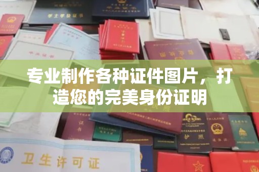 娄星专业制作各种证件图片，打造您的完美身份证明