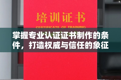 娄星掌握专业认证证书制作的条件，打造权威与信任的象征
