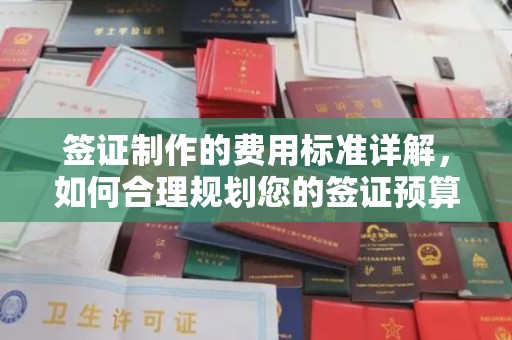 娄星签证制作的费用标准详解，如何合理规划您的签证预算