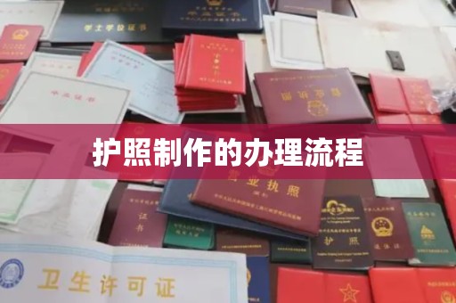 娄星护照制作的办理流程
