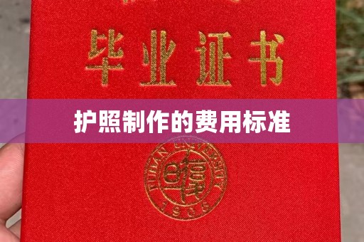 娄星护照制作的费用标准