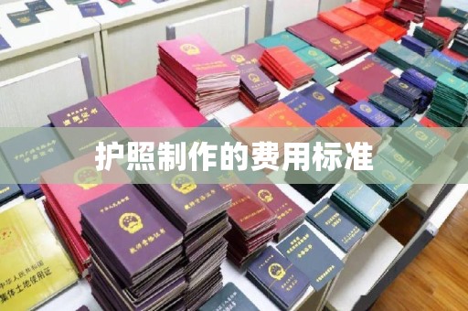 娄星护照制作的费用标准
