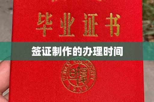 娄星签证制作的办理时间