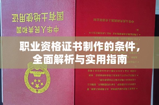 娄星职业资格证书制作的条件，全面解析与实用指南
