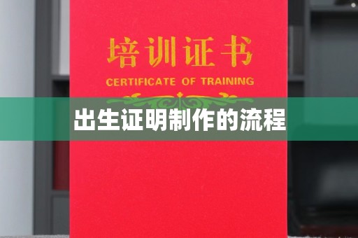 娄星出生证明制作的流程